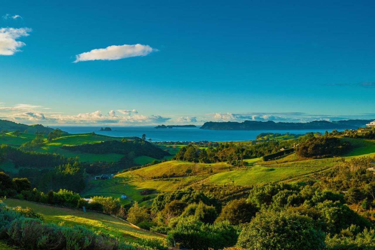 Bayview Valley Lodge Bed & Breakfast Whitianga Kültér fotó
