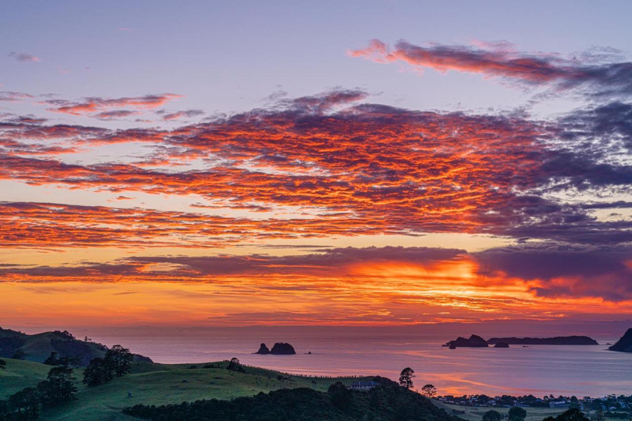 Bayview Valley Lodge Bed & Breakfast Whitianga Kültér fotó