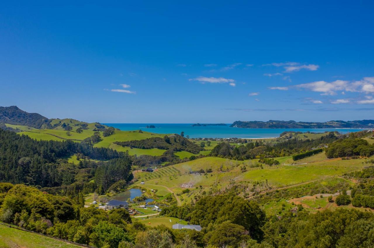 Bayview Valley Lodge Bed & Breakfast Whitianga Kültér fotó
